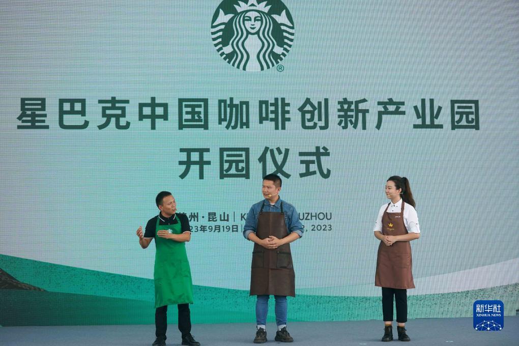 狮子老鹰游戏